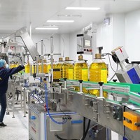 Ligne de production et d'embouteillage entièrement automatique pour huiles végétales (palme, olive, tournesol, sésame, arachide, soja, maïs)