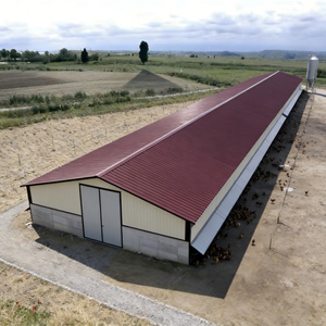 Poulailler en acier préfabriqué, installation facile pour les petites et moyennes exploitations agricoles - Product Image 4