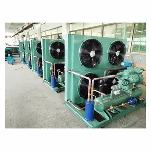 Chinesische Teile Kühlschrank Kompressor Bitzer-Kompressor luftgekühlt Kühlraum