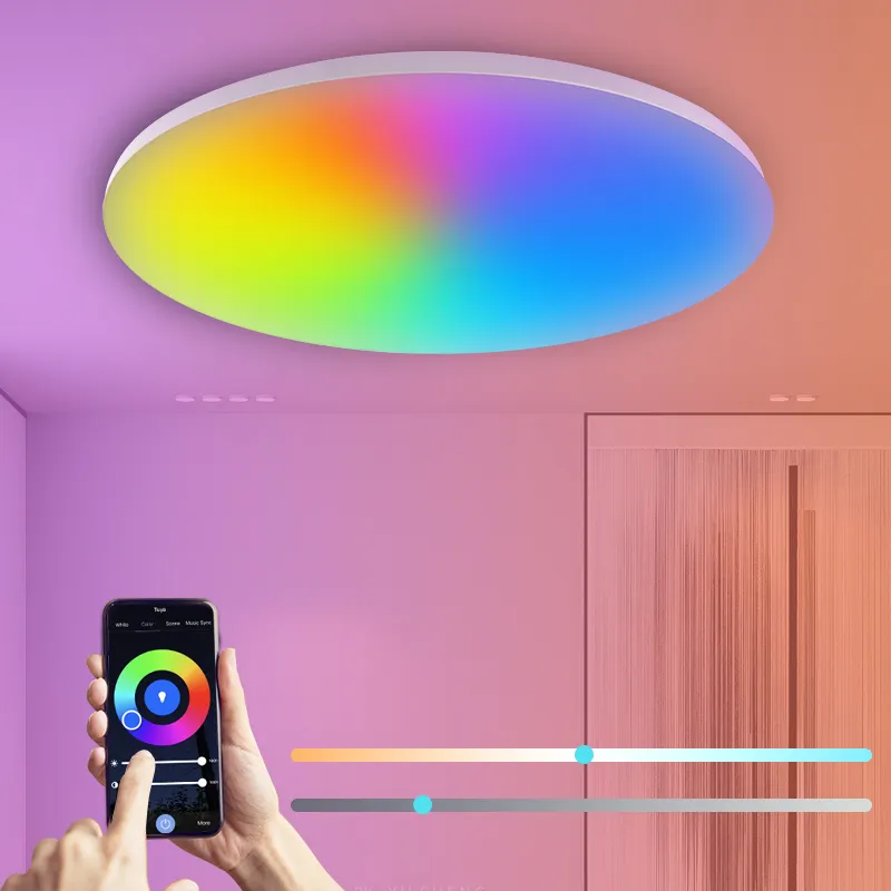 Ultrathin Tuya Wifi app בקרת LED תקרת אור 24W Ra>80 בית RGB קול מתכוונן חכם עגול Dimmable מתג Led CE מותאם אישית