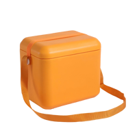 Nouveauté Glacière EVA pour le camping Glacière portable en matériau EVA isolé Glacière de terrain Barre à glace Boîte à glace 10L