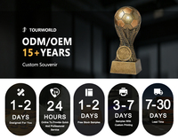 Trophée de football en résine pour compétition, design étoile, prix personnalisable pour le gagnant