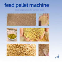 Ventes chaudes - Machine à granulés d'aliments pour animaux automatique à haute efficacité - Machine à fabriquer des aliments pour poissons, crevettes, poulets, moutons, bovins