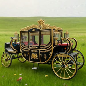 Nuevo Estilo, Carruaje Real Eléctrico Negro en Venta, Transporte Especial para Bodas de Princesas, Carruaje para Paseos Turísticos - Product Image 2