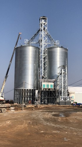 <span class=keywords><strong>Silo</strong></span> à céréales en acier galvanisé de 50T-5000T pour les fermes et les usines d'alimentation en Afrique |   Ensemble de vis pour trémie à fond plat - Product Image 3