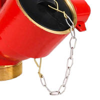 Vanne d'atterrissage de bouche d'incendie oblique BSP de 2.5 pouces BS336 matériel en laiton rouge filetage externe accessoires d'équipement de lutte contre l'incendie