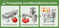 Hoge Kwaliteit Granaatappel Passievrucht Extractor Granaatappelsap en Schilmachine Granaatappelsap Verwerkingslijn