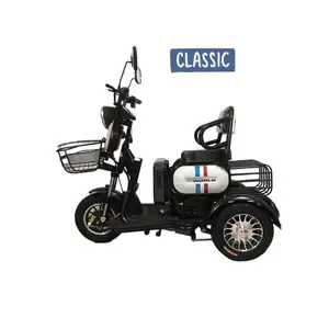 2022 Phong Cách Cổ Điển Ba Bánh Xe Điện Carbon Thấp Du Lịch Điện Cargo Bike Giỏ Giải Trí Xe Di Động Scooter LANDAO