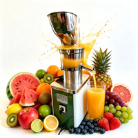 Extracteur de Jus Commercial HJ-1200W en Acier Inoxydable Multifonctionnel pour Fruits (Orange, Ananas, Pastèque) - Offre Spéciale
