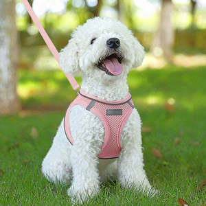 Neues Design Hundegeschirr und Leine Set, Weiches Mesh-Welpengeschirr ohne Ziehen für Kleine und Mittelgroße Hunde und Katzen - Product Image 1
