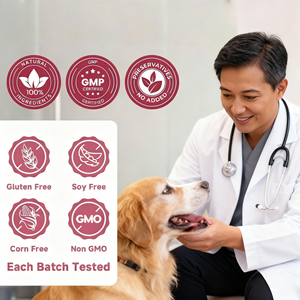 Complément alimentaire pour chiens OEM/ODM sous marque privée : Friandises molles multi-collagène pour soutenir la santé des articulations et de la peau - Product Image 5