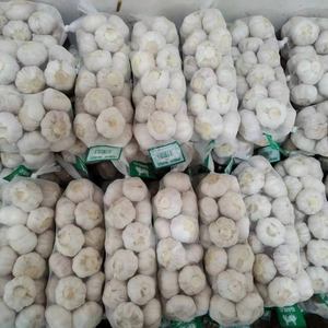 Aglio bianco fresco organico organico 4.5cm 6.0cm bianco normale e puro 10kg all'ingrosso cartone di puro aglio fresco - Product Image 1