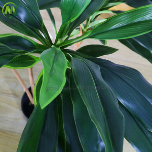 ยอดนิยมประดิษฐ์Dracaena FragransพืชบอนไซจําลองสูงFaux Sago Cycasพืชข้าวโพดกระถางสําหรับตกแต่งบ้าน - Product Image 3