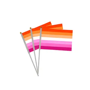도매 소형 흔들림 깃발 폴리 에스테르 인쇄 사용자 정의 Lgbt 플래그 게이 프라이드 레인보우 핸드 헬드 플래그
