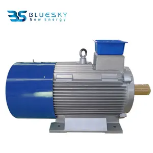 China Supplier Wholesale High Efficiency 10kw Free Magnetic Generator