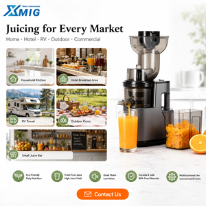 Extractor de Jugos Lento de 1200W, Acero Inoxidable, Motor de 6 Cuchillas, Diseño de 2L para Hogar, Hotel, Cocina, UE y EE. UU., Potente Motor de 1200W - Product Image 3