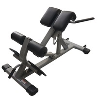 Usine de gros équipement de fitness commercial multifonctionnel Extension du dos réglable à 90 degrés banc assis chaise romaine