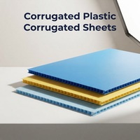 Plaque en polypropylène ondulé Coroplast de haute qualité, feuilles creuses en plastique PP
