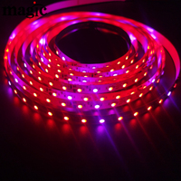 Bande LED numérique adressable SK6812 en cuivre 12V, découpable, toutes LED SPI Smart RGBW 3000K 6000K 4000K, pour éclairage paysager et commande vocale