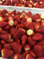 Fraises séchées biologiques AD 500G Uniques et irrésistibles