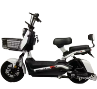 Vente chaude Vélo électrique Grande puissance Scooter électrique populaire Vélo électrique bon marché à longue portée