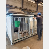 Enclos de sécurité pour veaux en métal galvanisé modulaire, simple/double, autoportant, écologique, durable, 6 pieds, moderne
