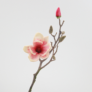 Ingrosso piccolo fiore di Magnolia vero tocco in gomma morbida fatto a mano decorazione realistica per il Festival di nozze di natale Hotel casa - Product Image 4