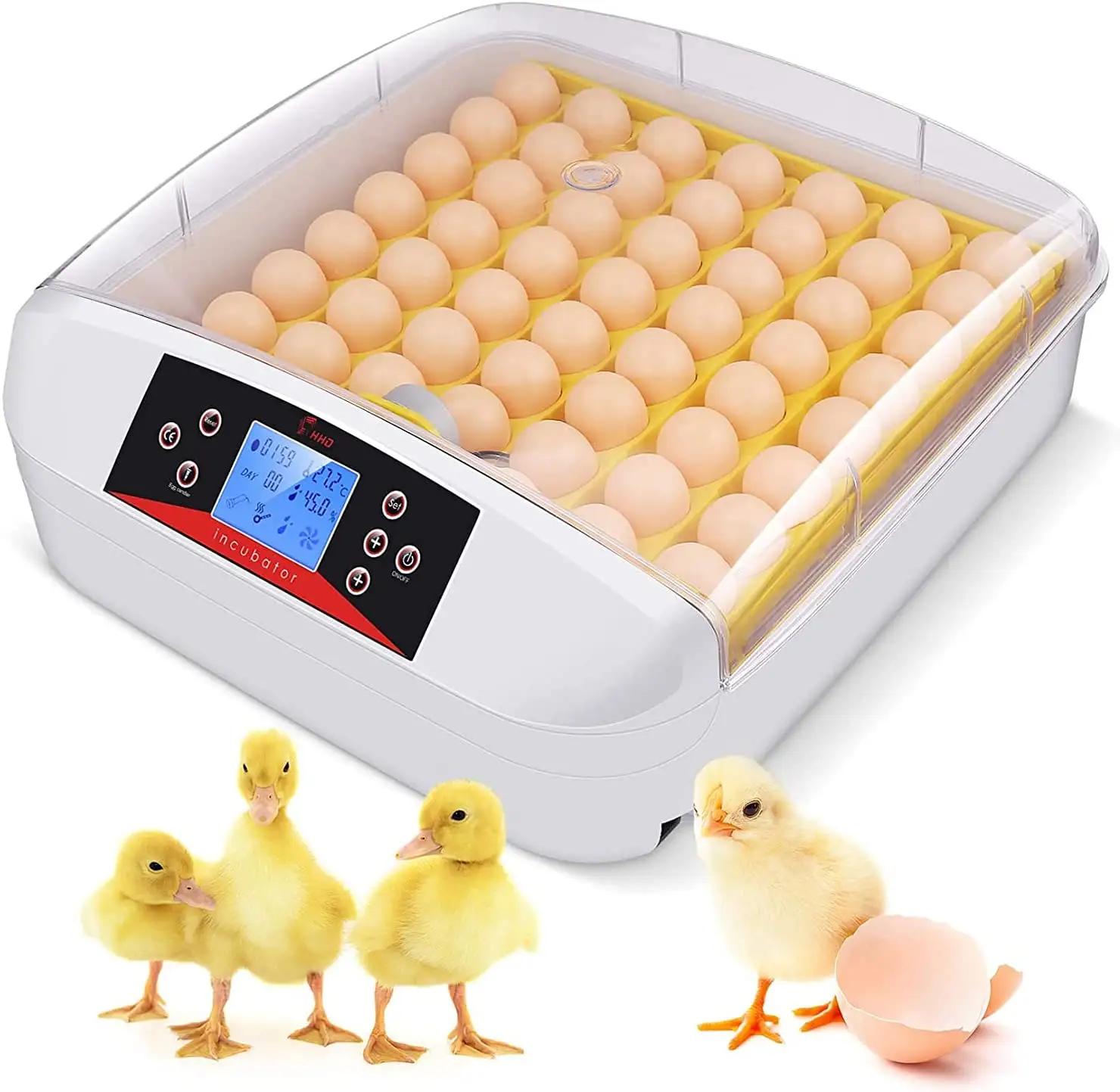 HHD Transparent cover 56S Chicken Egg Incubator built-in LED candle fully automatic