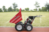 ANT 4WD BY300S Carriola Motorizzata, Dumper, Oruga, Grua Forestale, Mini Caricatore, Caricatore su Ruote, Mini Dumper