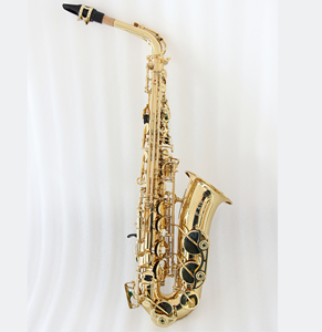 Haute Performance #   <span class=keywords><strong>Saxophone</strong></span> alto en Mi bémol avec repose-pouce réglable pour droitier, ressorts bleus, corps en laiton OEM, laqué or - Product Image 1