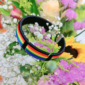 Pride Rainbow LGBT pulsera hecha a mano trenzada ajustable <span class=keywords><strong>Gay</strong></span> Pride accesorios <span class=keywords><strong>amistad</strong></span> cadena pulsera para lesbianas bisexuales - Product Image 2
