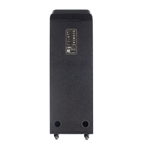 2025 nuovo portatile 100W doppio 10 pollici Party TWS Speaker con luce RGB in legno <span class=keywords><strong>per</strong></span> esterni Trolley <span class=keywords><strong>ruote</strong></span> altoparlante <span class=keywords><strong>per</strong></span> feste - Product Image 5