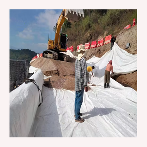 Tissu non tissé ChongYan 15g-300gsm à prix abordable, emballage en géotextile, tissu non tissé personnalisé pour emballage - Product Image 4