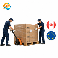 Manutention sécurisée des marchandises, fret maritime Canada Europe, transitaire DDP, dédouanement, livraison porte à porte, service Amazon FBA