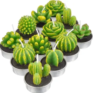 2022 personalizzato cera di soia profumata verde Mini Cactus piante succulente candela profumata