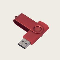 Flashdisk USB Custom Pabrik Grosir Kapasitas 1GB hingga 128GB Kompatibel USB 2.0 & 3.0 Pen Drive Baru Hadiah dengan Harga Murah