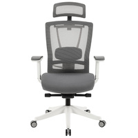 Mobilier Usine Haut de Gamme 4D Accoudoir Bureau Exécutif Haut Dossier Maille Chaise Ergonomique Avec Appui-Tête