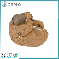 Modelo Anatómico Avanzado del Cerebro Humano, Secciones Frontales, Modelo de Enseñanza Médica en Plástico