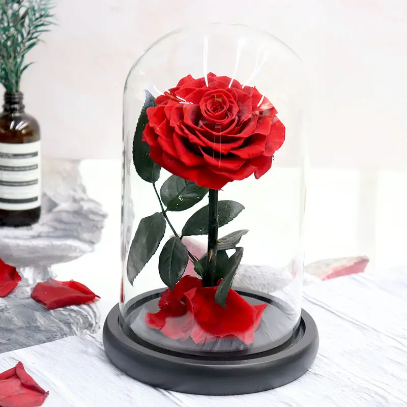 뜨거운 진짜 자연 로즈 벨 매혹적인 발렌타인 데이 선물 상자 장식 영원한 꽃 유리 돔에서 영원한 장미 Led