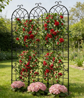 Metall-Kletterpflanzen-Rankgitter Rostfrei für Draußen mit Gewölbter Oberseite Dekorative Stütze für Blumen Rosen Clematis Obelisk 50x180cm