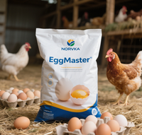 Complément Alimentaire pour Poules Pondeuses : Prémélange Vitaminé Stimulant la Croissance pour une Production d'Œufs Accrue