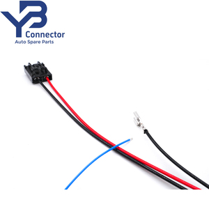Conector YB Personalizado 346027-1 Conector de Bomba de Combustível Automotiva de 2 Pinos com Fiação - Product Image 6