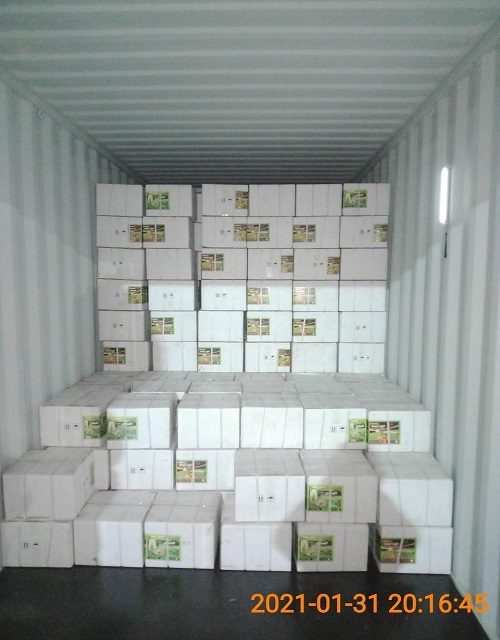 2022 черно-Коричневые круглые гранулы калия ГУМАТ 65-70% леонардат органические сельскохозяйственные улучшители почвы