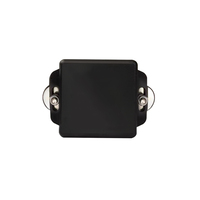 Sensor de Temperatura Inalámbrico de Tipo Succión Magnética para Subestaciones, Interruptor de Alto Voltaje, Calderas y Motores
