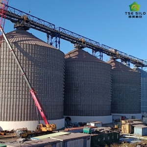 Silos à fèves à fond plat en acier galvanisé à chaud de haute qualité, marque TSE, certifiés ISO9001 et CE, TCK <span class=keywords><strong>12500T</strong></span>, pour élevages de poulets - Product Image 4