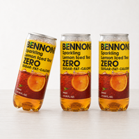 Kant-en-klare drank 10% gearomatiseerd fruitconcentraat bruisende limonade drank blik/fles verpakking fabriek direct leverbaar