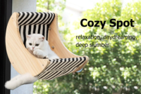 Lits pour chats en bois modernes pour chats d'intérieur, perchoirs, étagères lunaires montées avec des ventouses puissantes, siège de fenêtre pour chat pour dormir