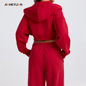 Set Tuta Sportiva Personalizzata in Spugna 360GSM per Donna, Top Corto con Zip e Pantaloni Larghi Stile Streetwear - Product Image 2