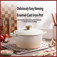 Casserole en fonte émaillée céramique antiadhésive avec couvercle, dégradé blanc ivoire, pour la maison, la cuisine, le restaurant, pour ragoûts, soupes et braisages