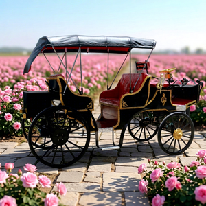 Charrettes à chevaux électriques vintage pour le tourisme, chariots de mariage, charrettes de promenade à chevaux Victoria à vendre - Product Image 1